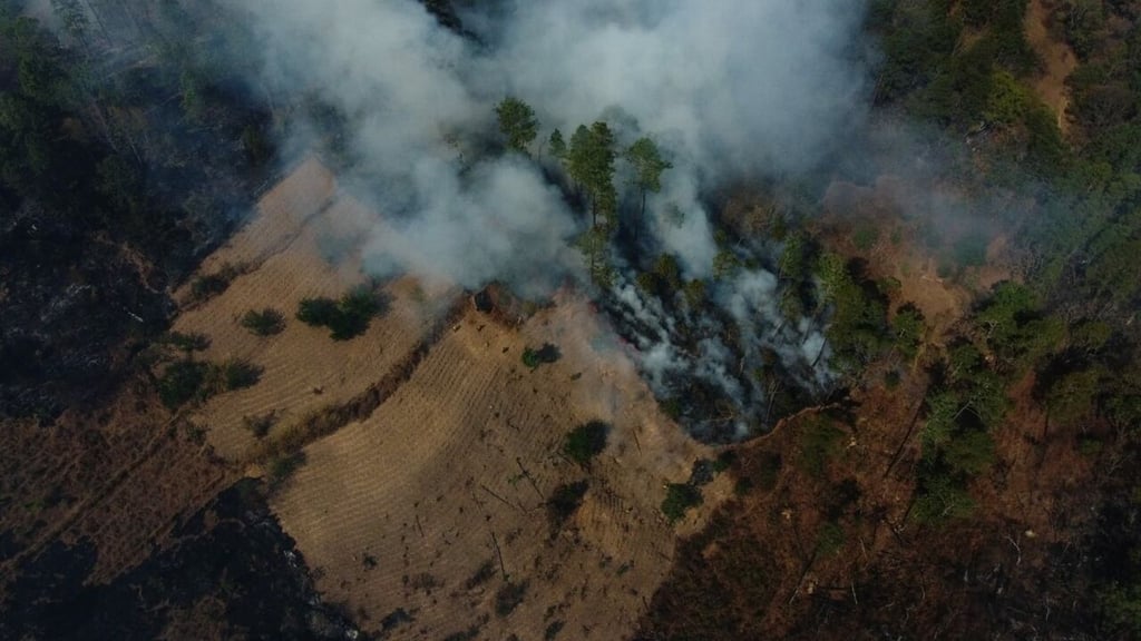 Guatemala registra 457 incendios forestales que han dejado 10 muertos en 2022