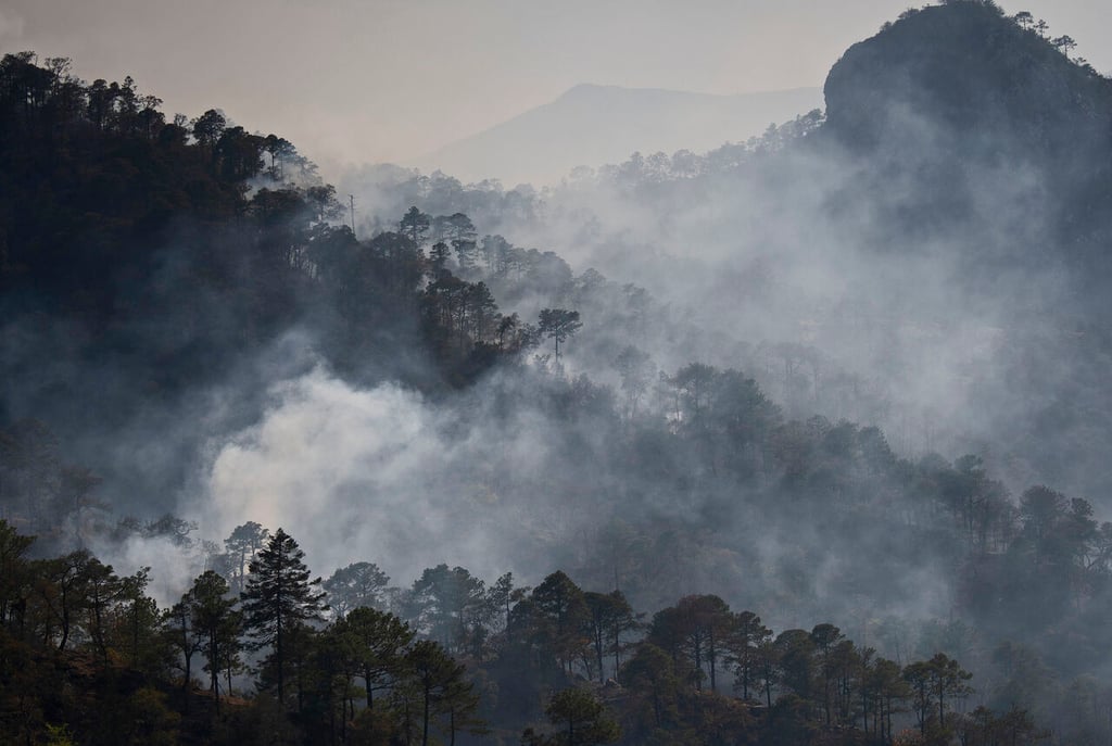 Después de 27 días, controlan incendio forestal en sierra de Santiago, Nuevo León