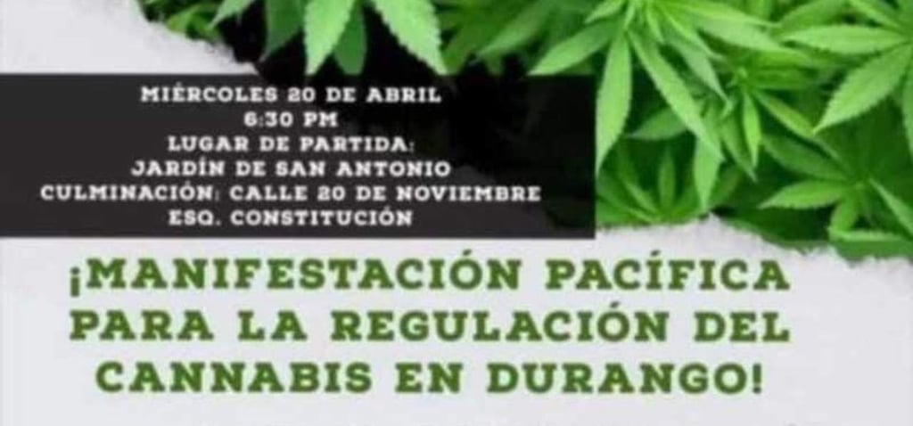 Marcharán en busca de legalizar el Cannabis en Durango