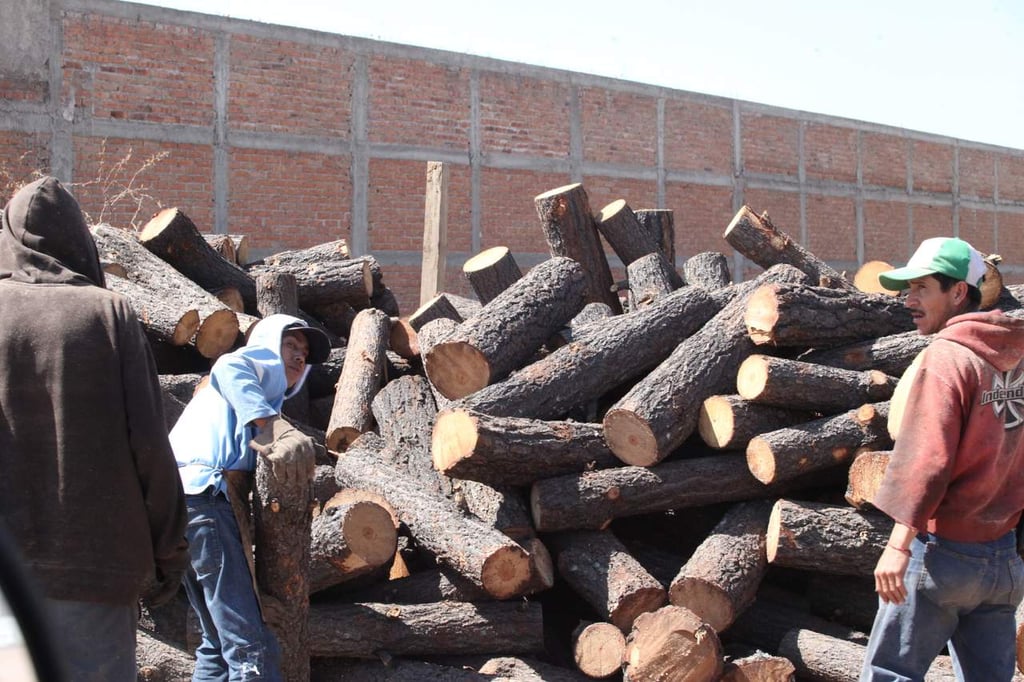 Escasea la madera de pino en Durango: muebleros