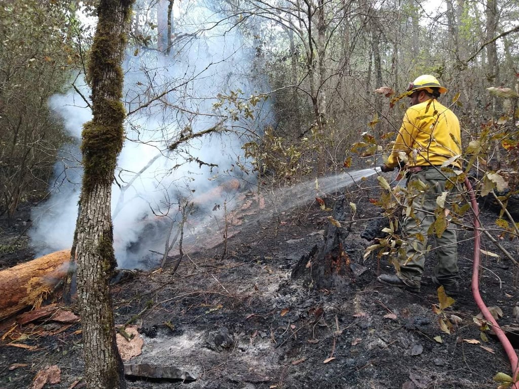 Durango, segundo con más daño por los incendios forestales