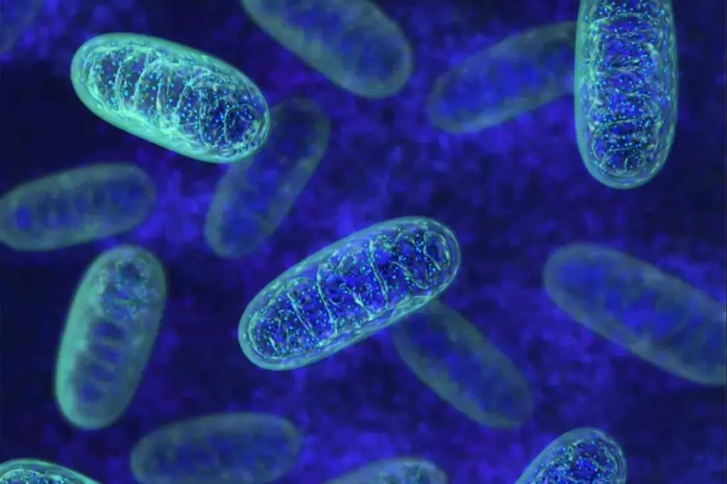 Edición genética se amplía con una herramienta para el genoma mitocondrial