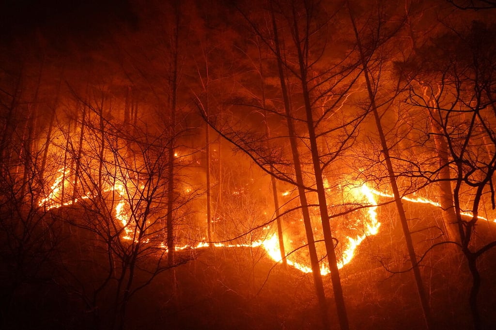 EUA se prepara para afrontar incendios 'épicos'