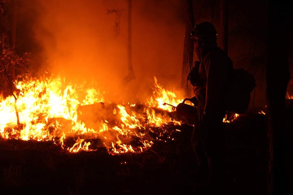 Reportan 11 incendios forestales activos en Durango
