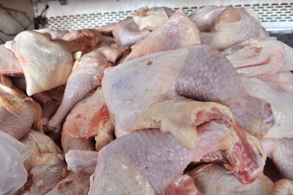 Ven inminente alza en precio del pollo y huevo por gripe aviar