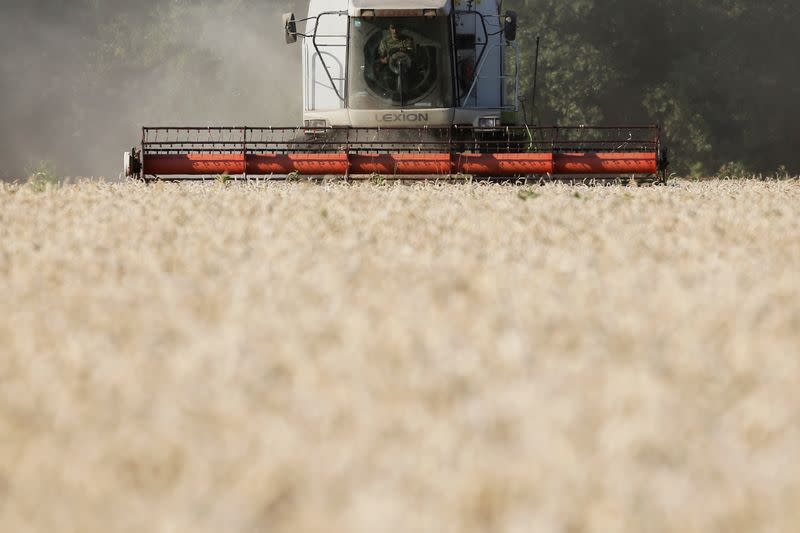 Blinken y Kuleba buscan dar salida a exportaciones ucranianas de grano