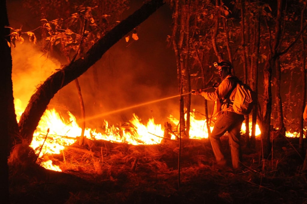 Hay nueve incendios forestales activos en Durango