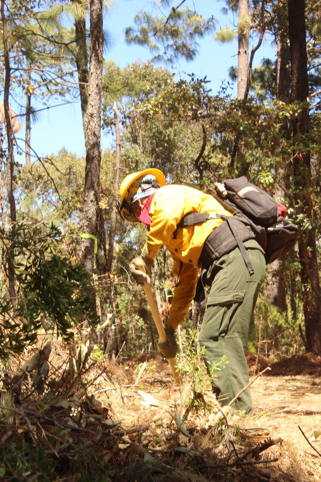 Durango, región más afectada por el fuego forestal