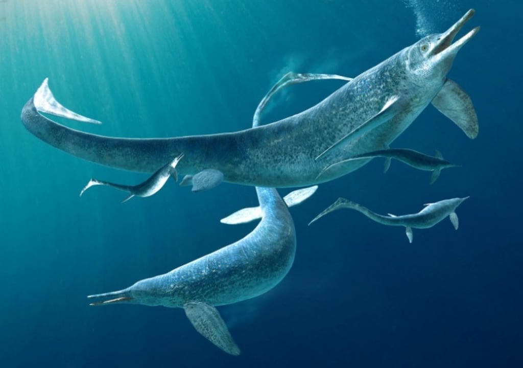 Descubren en Suiza fósiles de antiguas especies marinas desconocidas