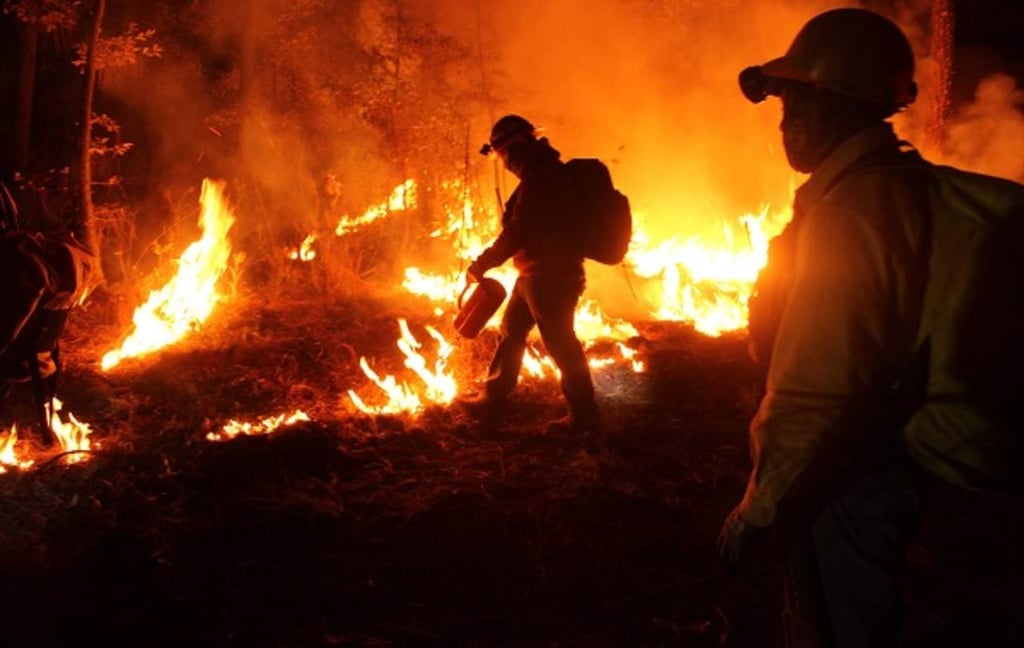 Durango, cerca de las 50 mil hectáreas dañadas por el fuego