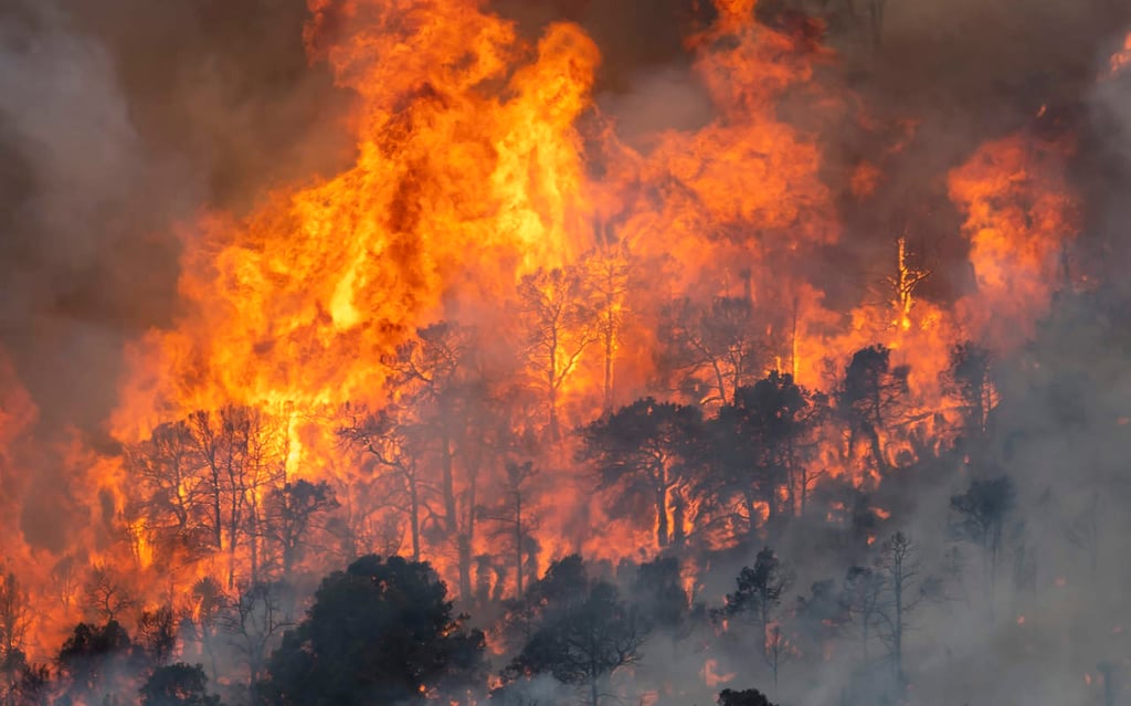 Durango es el estado más afectado por incendios forestales