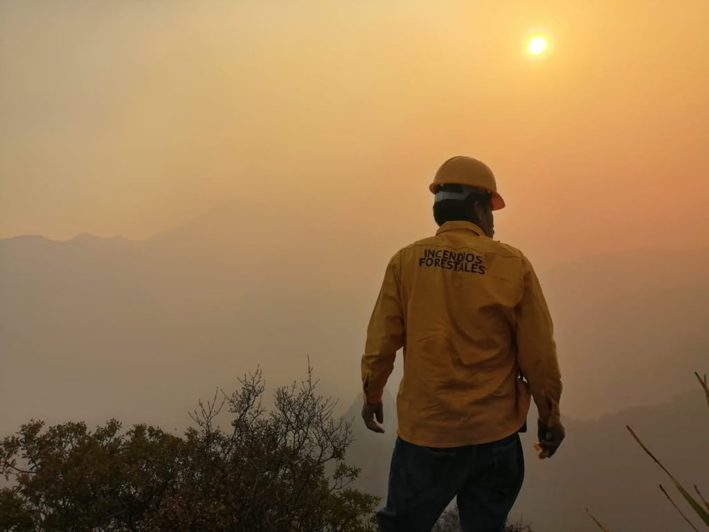En Durango, 56 mil hectáreas afectadas por el fuego