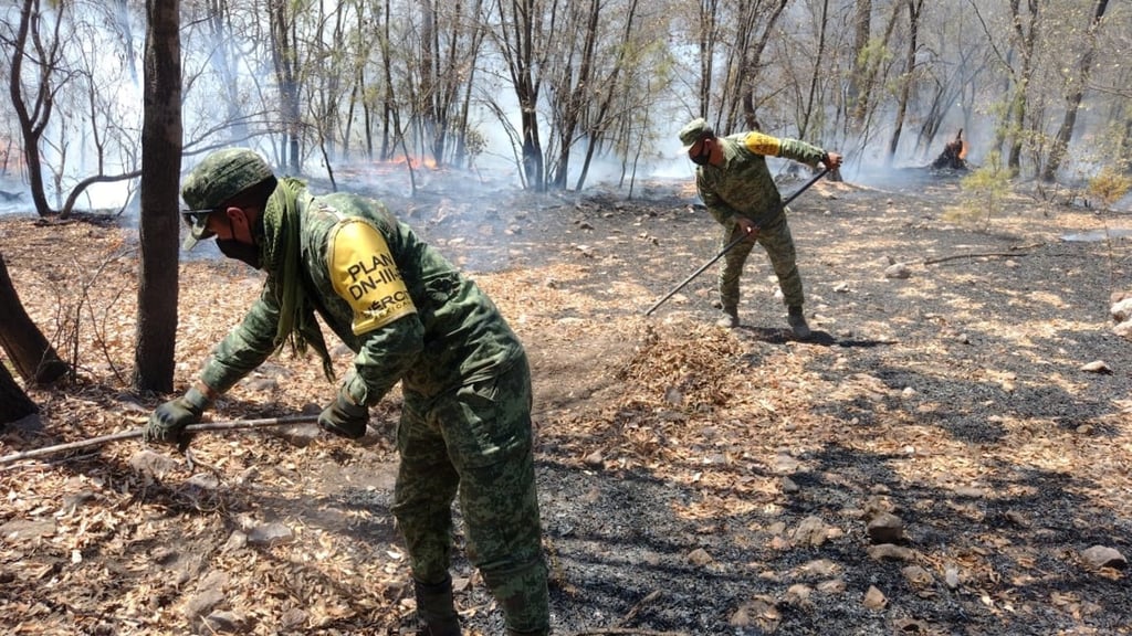 Personal militar combate incendios forestales en Durango