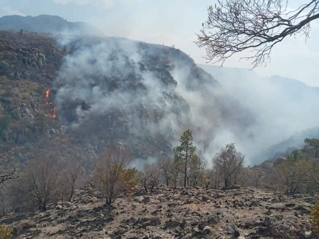 Habitantes cerca del incendio de San Bernardo temen por sus tierras y ganado