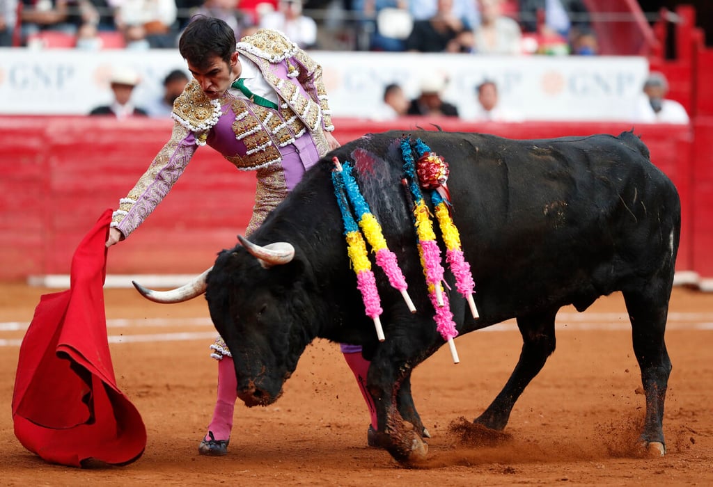 Juez aplaza audiencia para resolver corridas de toros en Plaza México