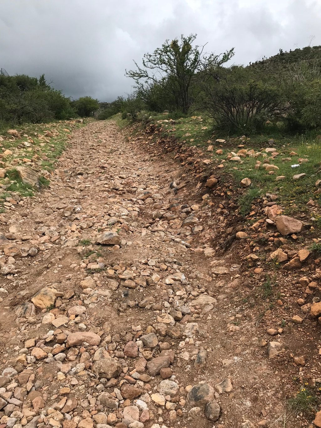 Con daños, 50% de caminos rurales en Durango