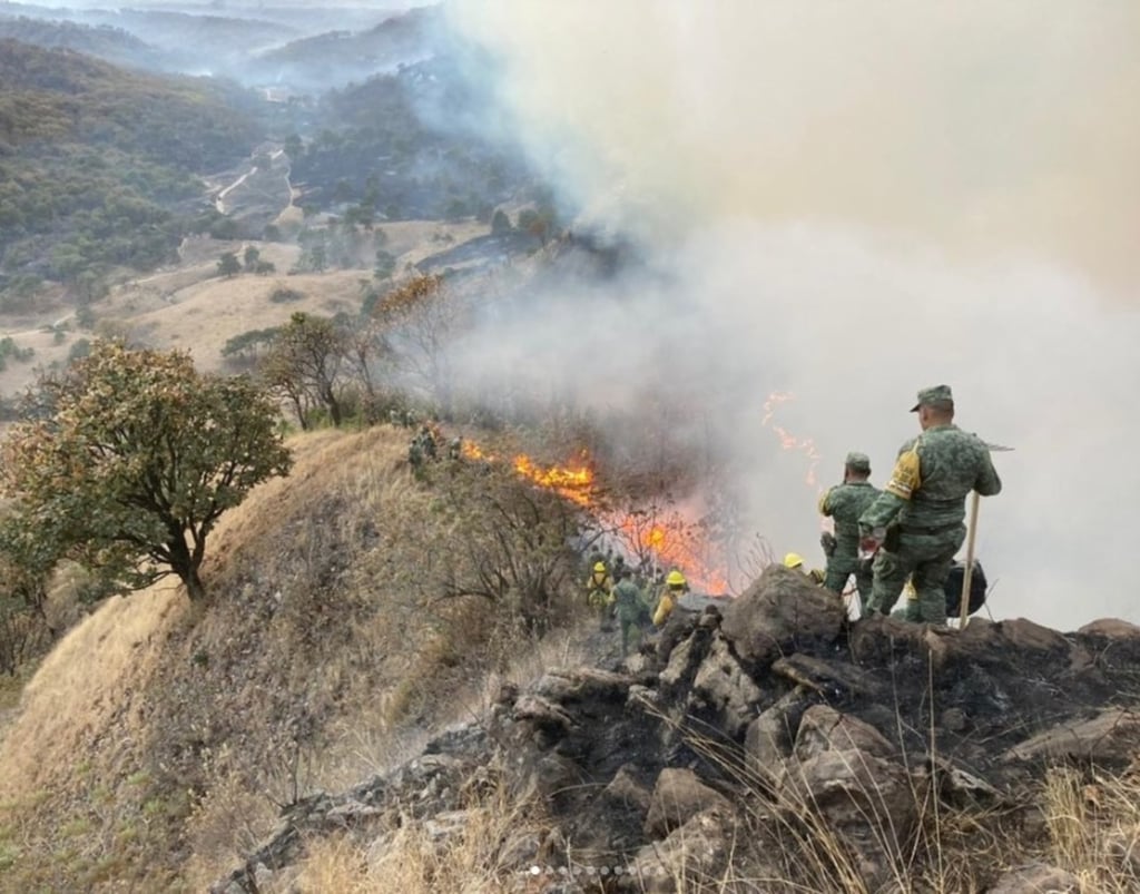 Van más de 87 mil hectáreas dañadas por el fuego en Durango