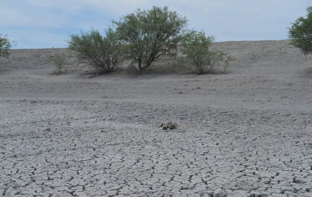 Con sequía severa, 19 municipios