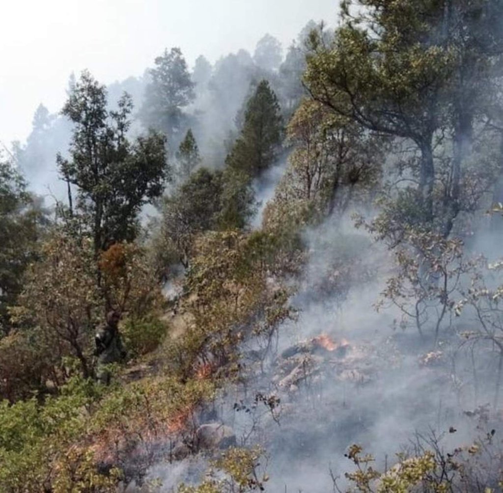 Año récord en incendios forestales en Durango
