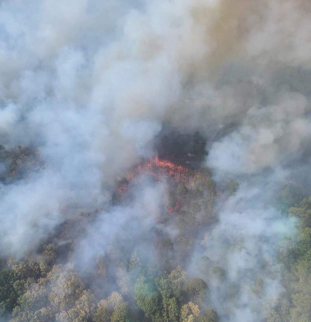 Activo un incendio forestal en Guanaceví