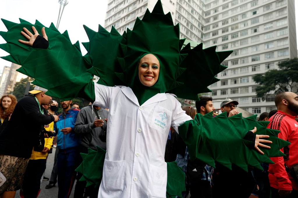 Tribunal de Brasil autoriza cultivo de marihuana para uso medicinal