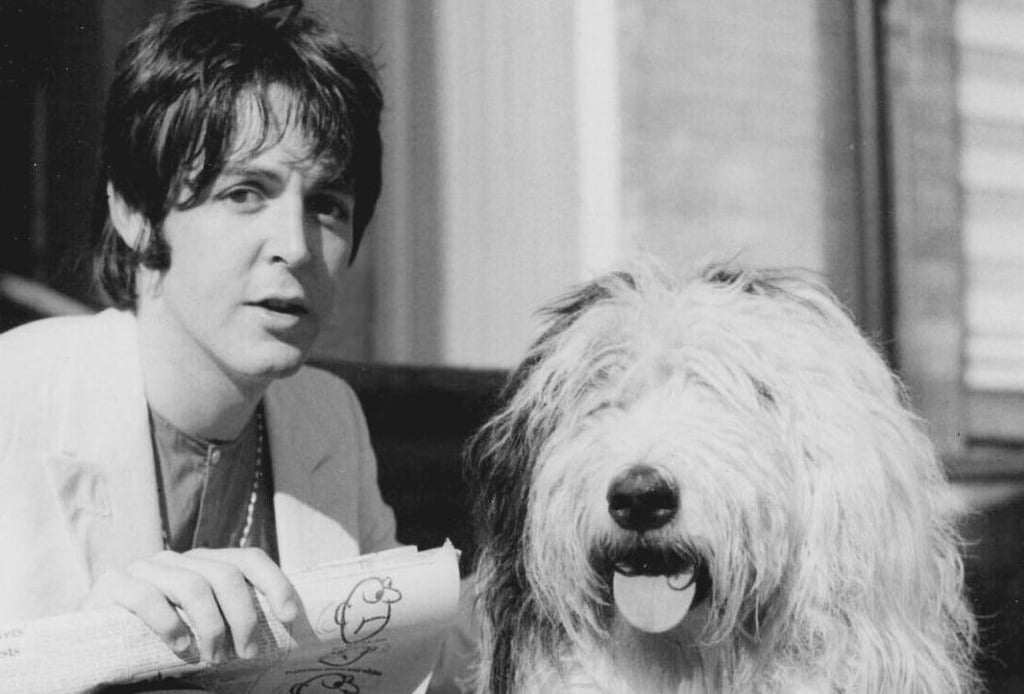 Martha, la pastor inglés que se robó el corazón de Paul McCartney