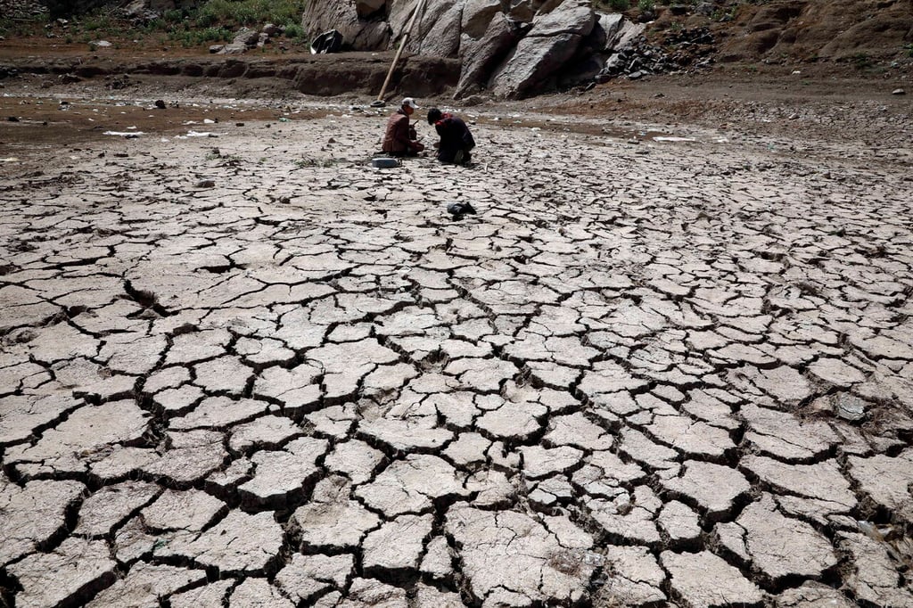 Mitad de la población mundial ya sufre de efectos de desertificación