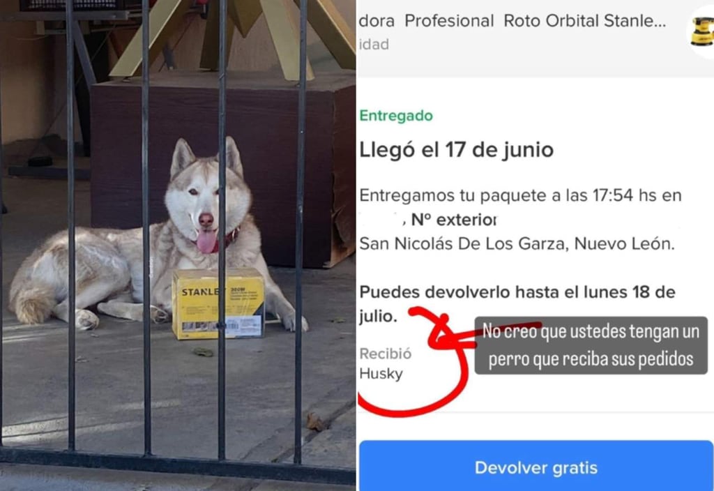 VIRAL: Al no estar sus dueños, Husky recibe paquete en Nuevo León