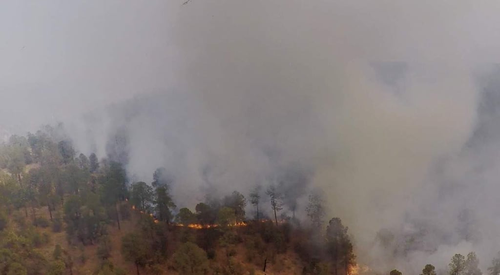 Durango rompe récord en hectáreas afectadas por incendios forestales