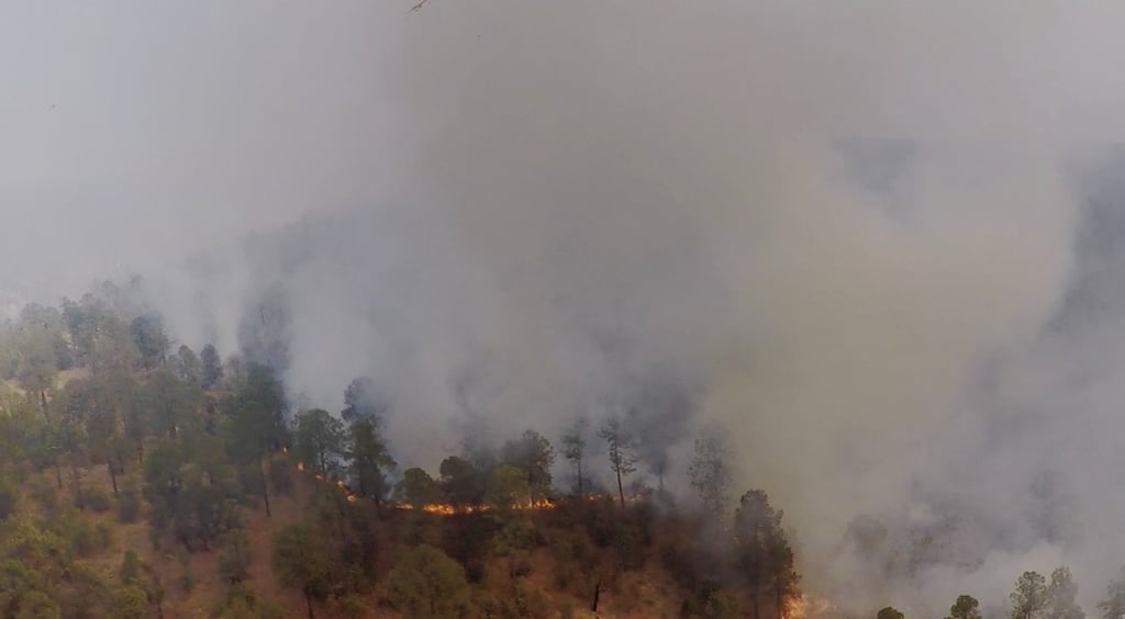 Récord de daños por incendios en Durango