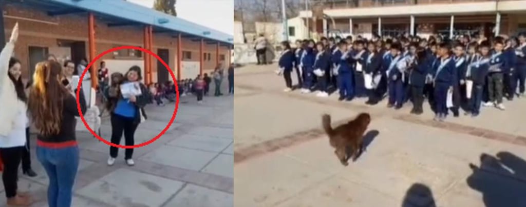 'Chori', el perrito callejero que recibe diploma en una escuela por cuidar a los alumnos