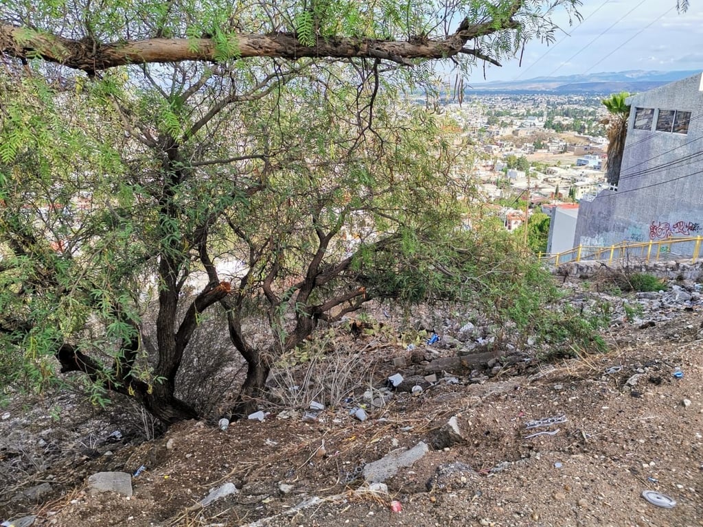 Mirador del Cerro de los Remedios, una panorámica muy sucia