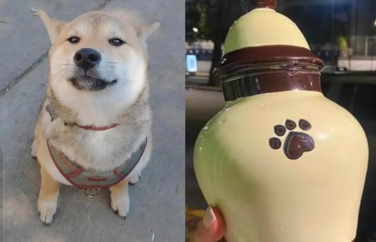 Mujer lleva a su perro a un campamento de entrenamiento y se lo regresan incinerado