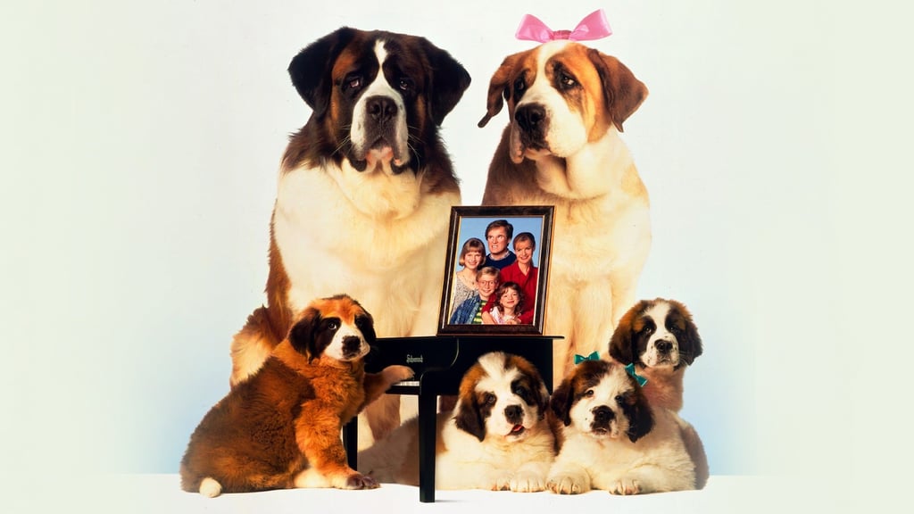 #DíaMundialdelPerro Recordamos a famosos caninos
