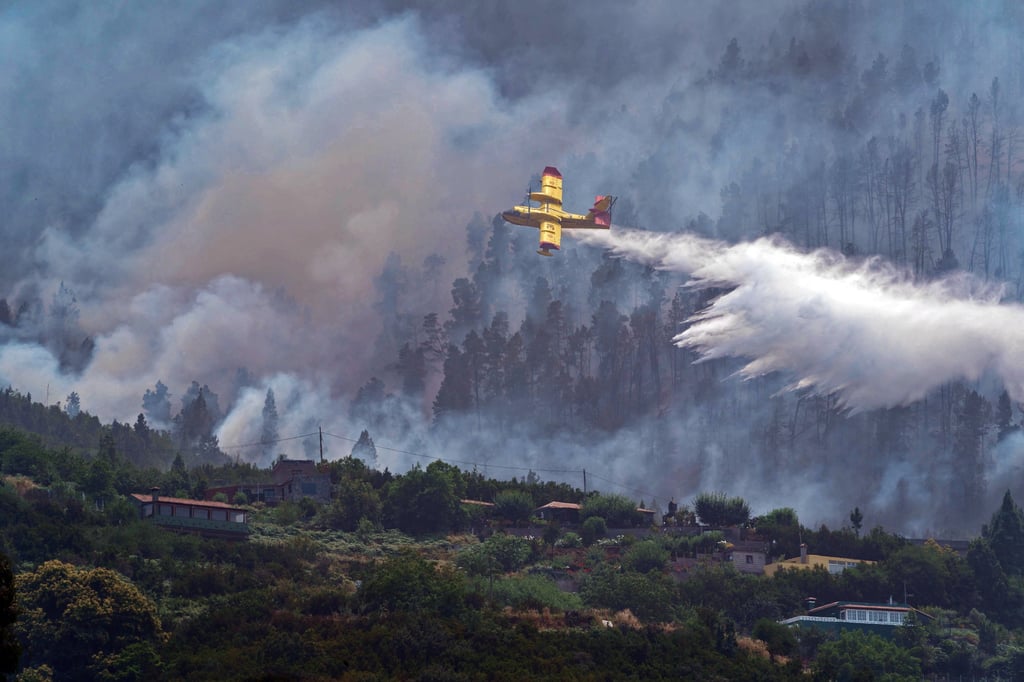 Activos numerosos incendios forestales en España