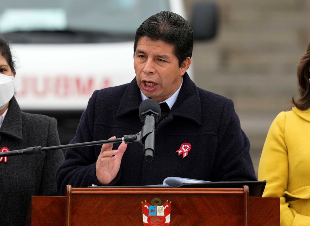 Pedro Castillo se acerca a su primer año de gobierno asediado por varias investigaciones
