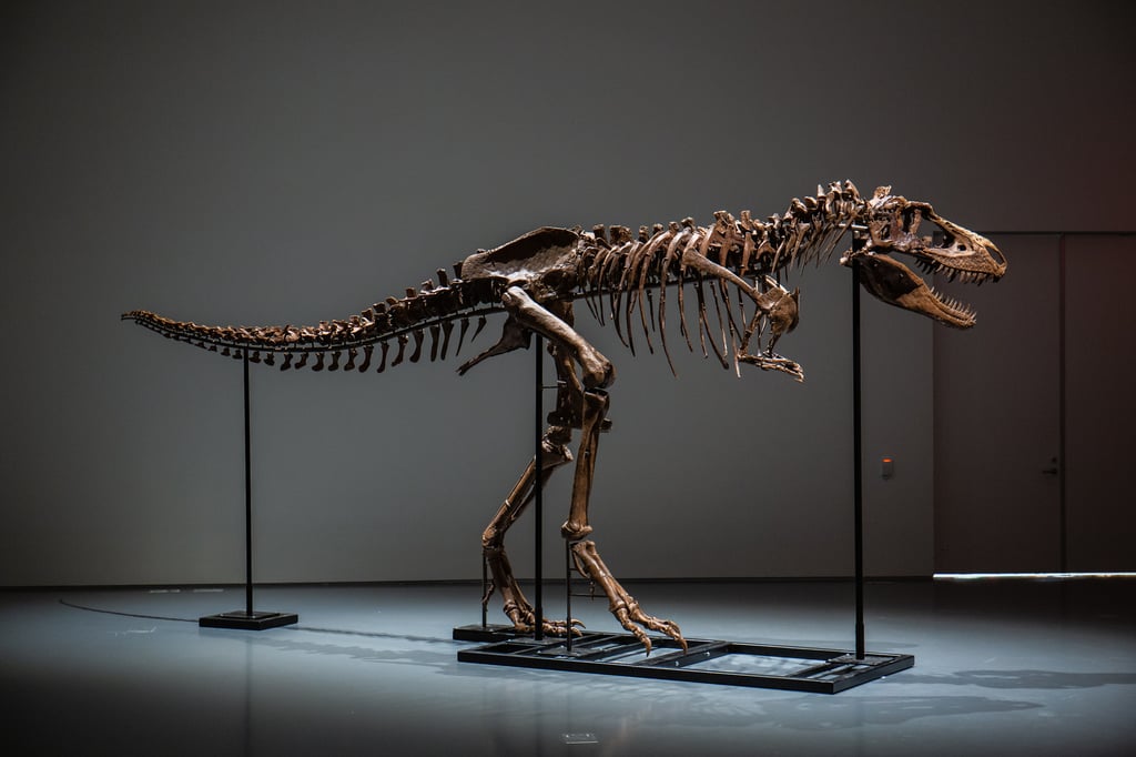 Venden por 6 millones de dólares el esqueleto de un dinosaurio del Cretácico