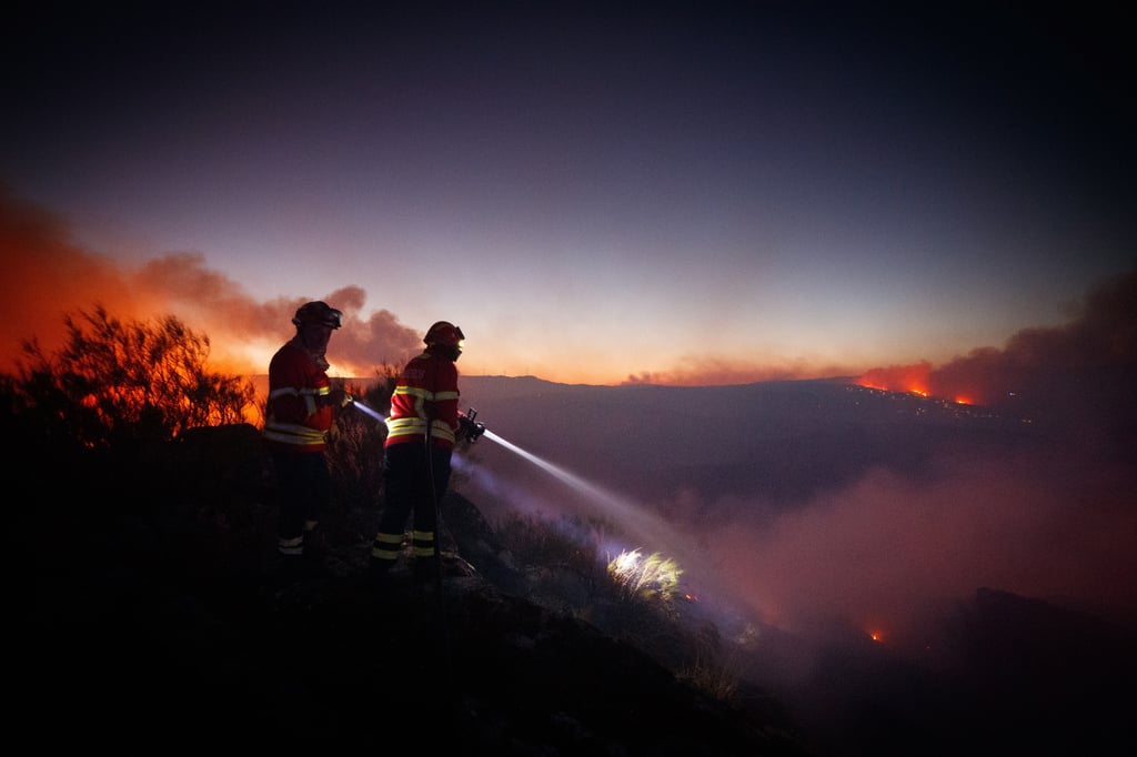 El incendio en Vila Pouca de Aguilar comenzó el pasado 27 de julio. (EFE)