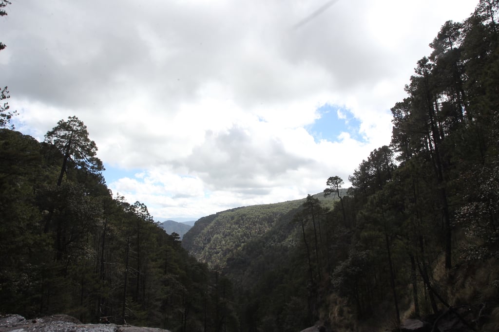 Déficit de lluvias de casi un 30% en el estado de Durango