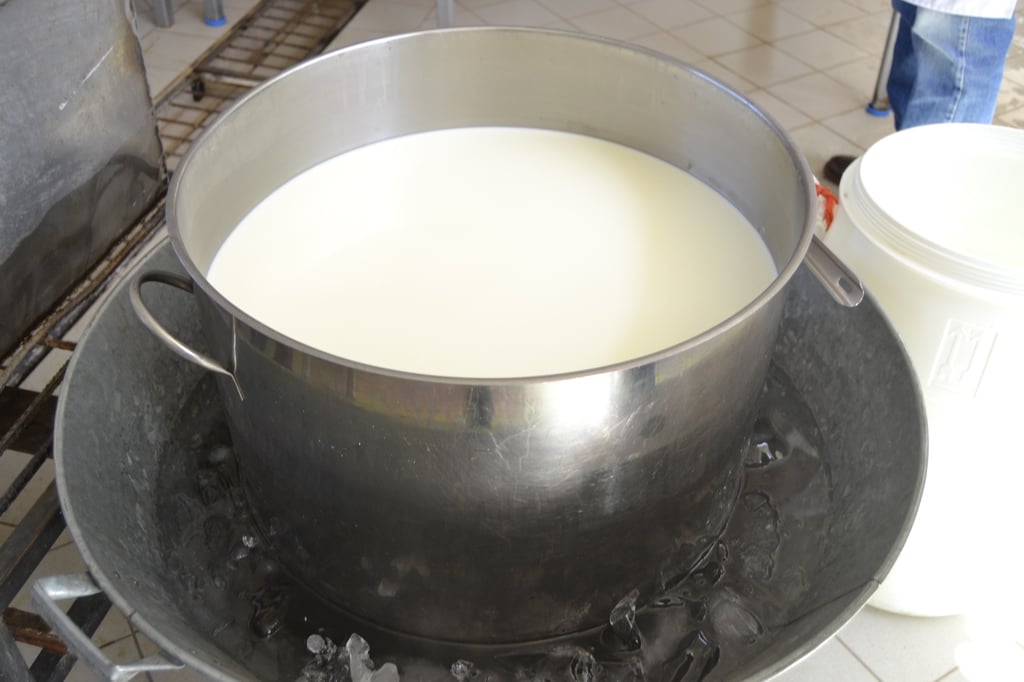 Durango reporta más de 700 millones de litros de leche