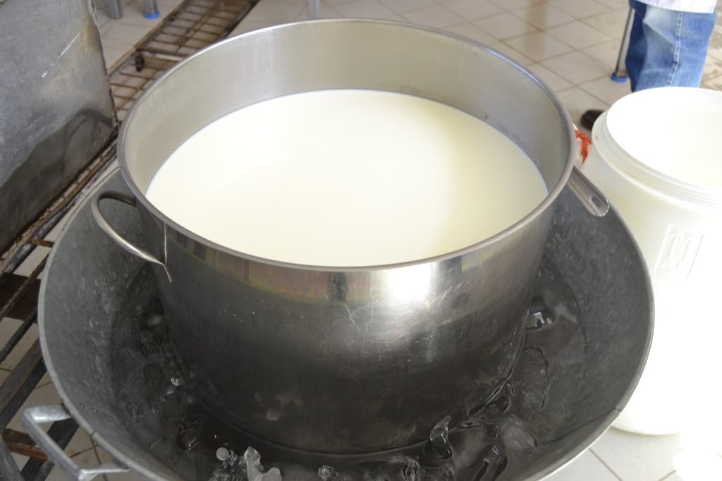 Reporte. En el primer semestre de 2022, la producción de leche de vaca en Durango fue de 727 millones 088 mil litros.