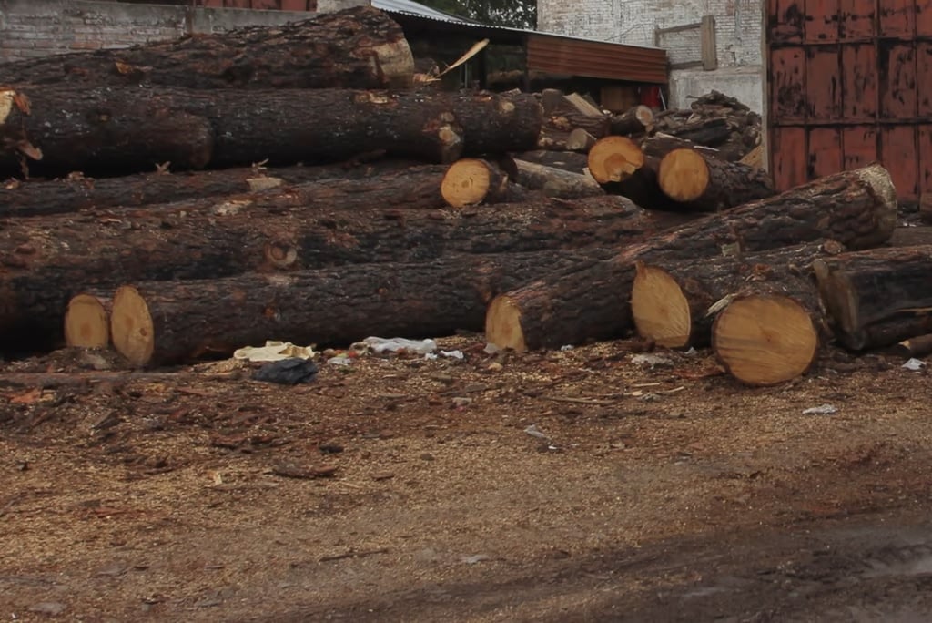 Dolor. Joven de 26 años de edad muere prensado por troncos que extraía madera de la sierra de Santiago Papasquiaro.