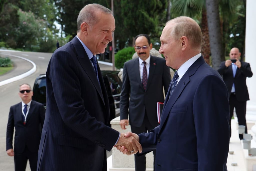 Situación. Putin y Erdogan reconocieron 'el importante papel de las relaciones constructivas entre ambos países a la hora de suscribir la iniciativa sobre el suministro seguro del cereal desde los puertos ucranianos'.