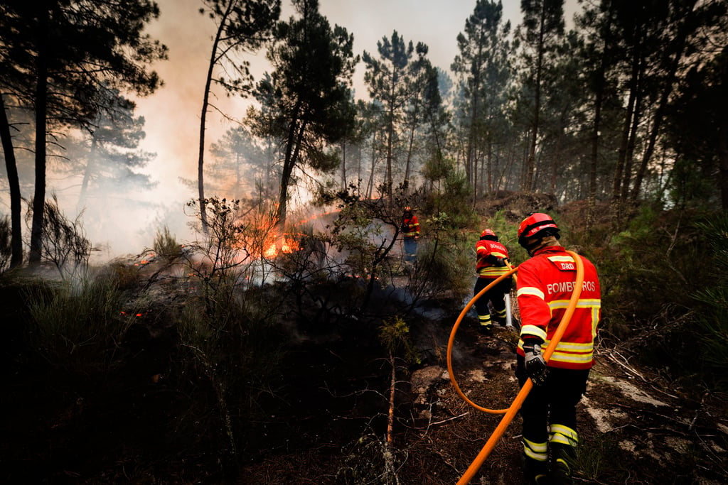 Más de 400 bomberos combaten un incendio forestal en Portugal