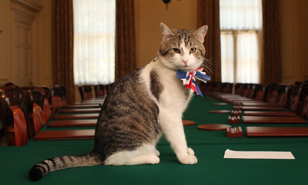 'Larry', el famoso gato 'ratonero' que vive en Londres