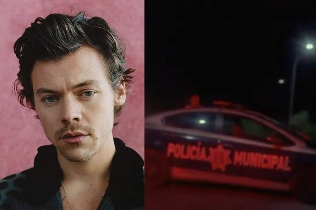 ¡Bruta, la policía! El día en que una patrulla municipal 'irrumpió' en un video de Harry Styles