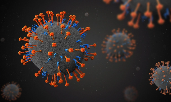 Detectan 35 contagios de nuevo virus de origen animal en China