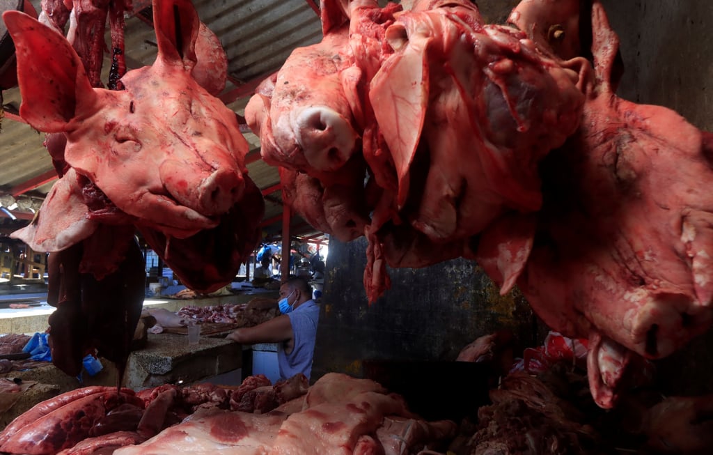 Producción positiva para pollo y cerdo en Brasil, anticipan ABPA