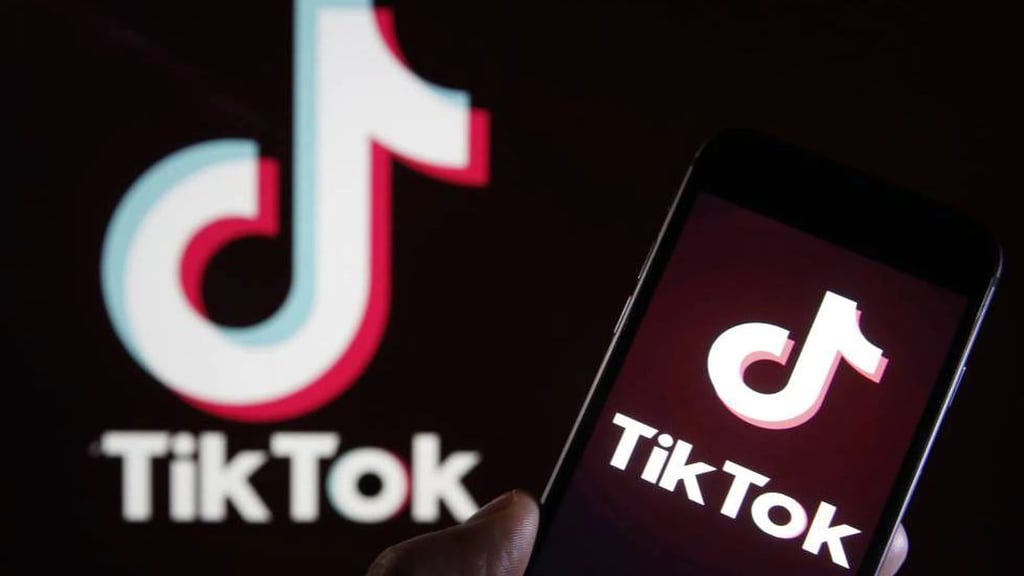 ¿Qué significa Vladimir en TikTok?