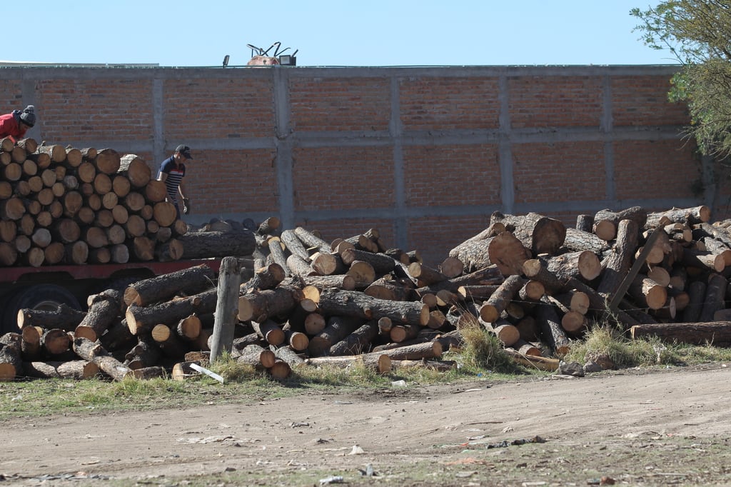 En Tepehuanes, un trabajador se encuentra grave después de que le cayó un tronco encima